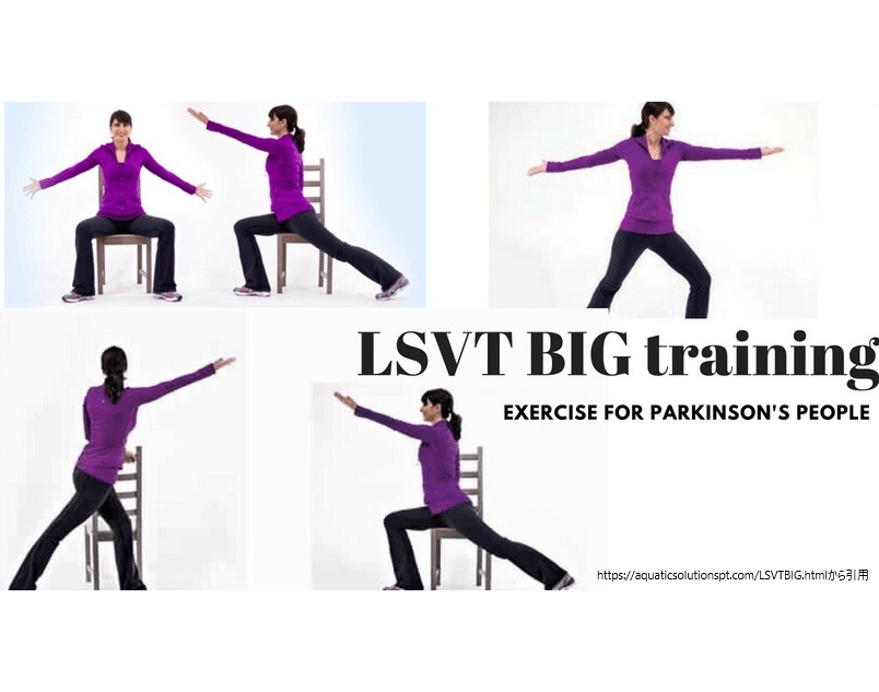 プログラムの様子